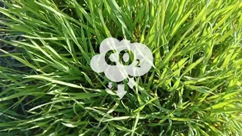 Reducing CO2 emissions to stop climate change sign Stock Footage 276345945