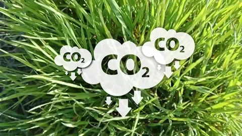 Reducing CO2 emissions to stop climate change sign Stock Footage 283268893