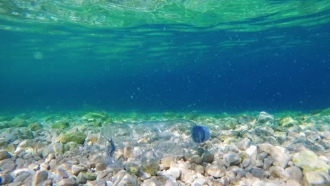 Reducing plastic waste in oceans and protecting marine ecosystems from pollution Video stock 338407445