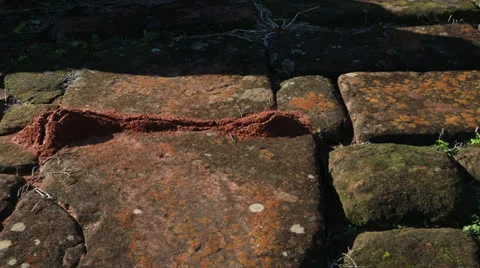 The Reduction  La Santísima Trinidad de Paraná in Paraguay Vídeo Stock 24761106