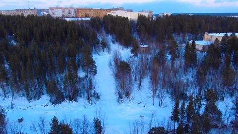 The reduction over the tops of the trees Stock Footage 90744430