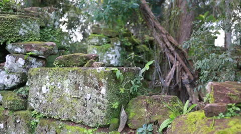The Reduction San Ignacio Miní, Misiones in Argentina Vídeos de archivo 24752904