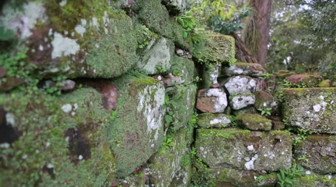 The Reduction San Ignacio Miní, Misiones in Argentina Vídeos de archivo 24752914