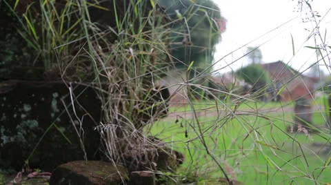 The Reduction San Ignacio Miní, Misiones in Argentina Vídeos de archivo 24752920