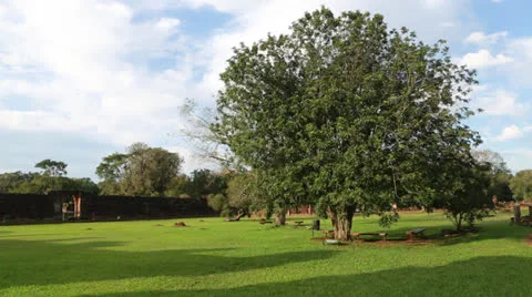 The Reduction San Ignacio Miní, Misiones in Argentina Vídeos de archivo 24753025