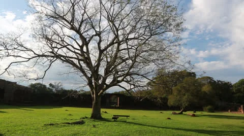 The Reduction San Ignacio Miní, Misiones in Argentina Vídeo Stock 24753040
