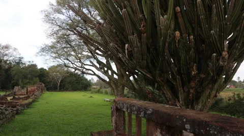 The Reduction San Ignacio Miní, Misiones in Argentina Vídeo Stock 24753049