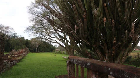 The Reduction San Ignacio Miní, Misiones in Argentina Vídeo Stock 24753054