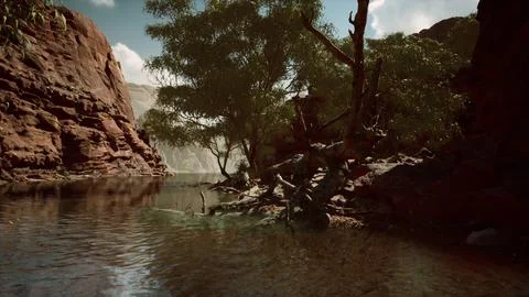 Redwall reflection in Colorado River Stock Illustration