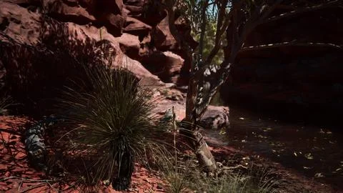 Redwall reflection in Colorado River Stock Illustration