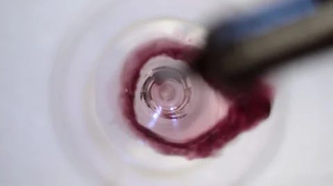 Redwine from an high angle Stock Footage 34269438