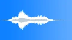 RedWinged Blackbird Mass TakeOff Sound Effect