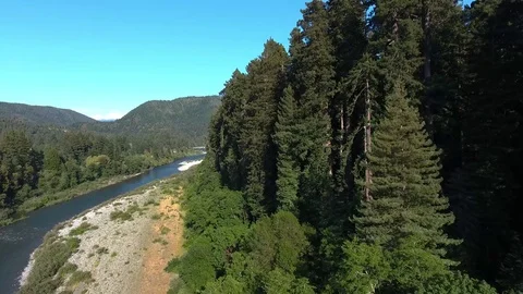 Redwood Forest river bed Stock Footage 70594786