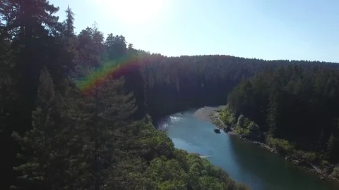 Redwood Forest valley with River Video stock 70594795