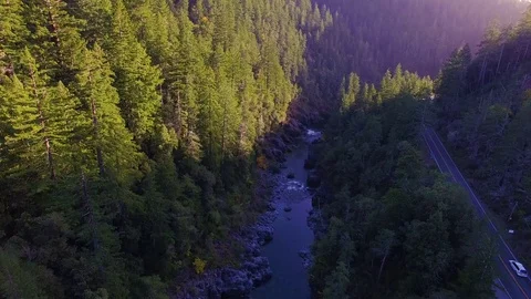 Redwood Highway at Sunset Stock Footage 73911073