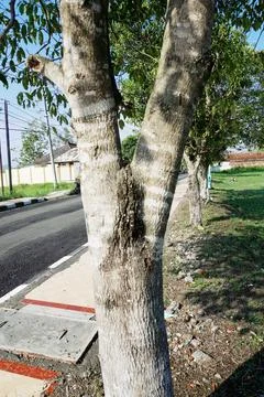 Ree objects Stock Photos