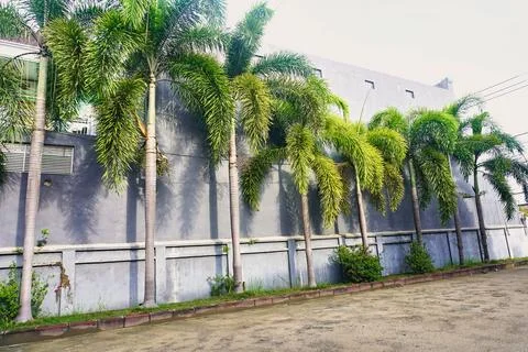 Ree objects Stock Photos