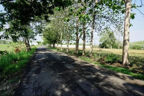 Ree objects Stock Photos