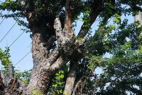 Ree objects Stock Photos