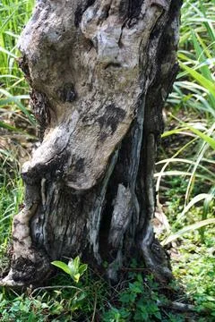 Ree objects Stock Photos