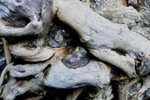 Ree objects Stock Photos