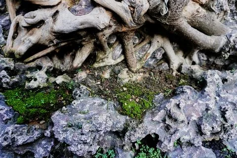 Ree objects Stock Photos