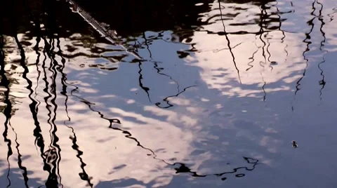 Reed and blue sky reflected in water Stock Footage 7759123