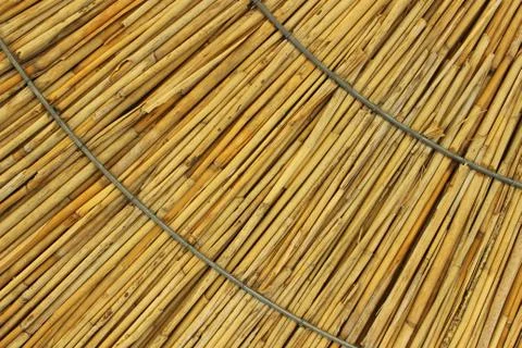 Reed background Stockfoto's