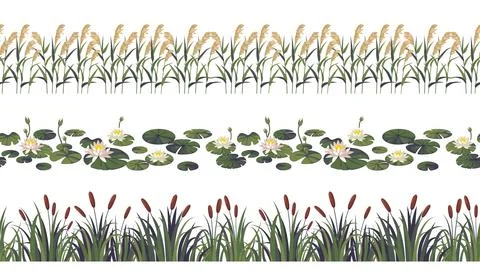 Reed borders. Pond or lake plants seamless lines, river wild botany, water flora Stock Illustration