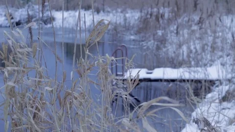 Reed, cane on winter lake Stock Footage 71158397