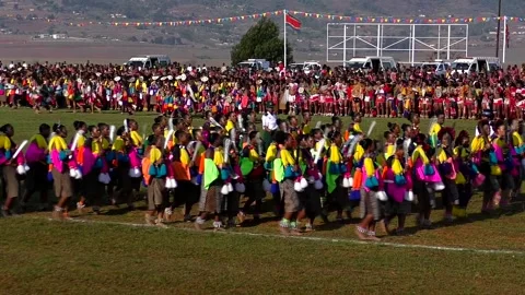 м*е様 セントポーリア PT Reed Dance ZULU REED DANCE: Tradition, Royalty and Culture - YouTube