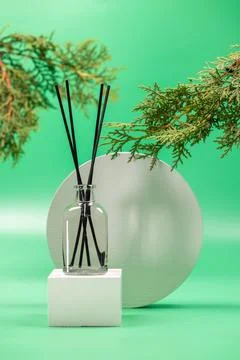 Reed diffuser creating relaxing atmosphere with botanical branches Stock Photos