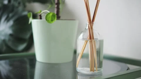 Reed diffuser sticks stand in a glass jar on a table indoors Stock Footage 348190413