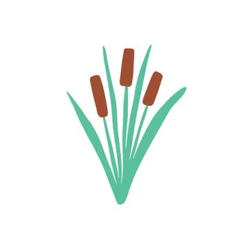 Reed in grass isolated element. Flat cane clipart Stock Illustration
