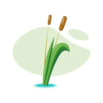 Reed illustration design element, river reed flat icon Stock Illustration
