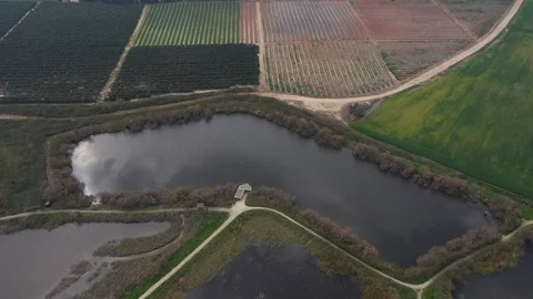 Reed next to fields Stock Footage 125909471