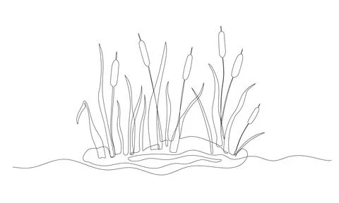 Reed one continuous line illustration. Hand drawn doodle drawing of pond on w Stock Illustration