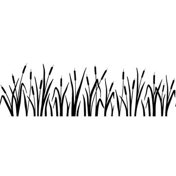 Reed silhouette seamless border. Vector illustration isolated on white. Plants Stock Illustration