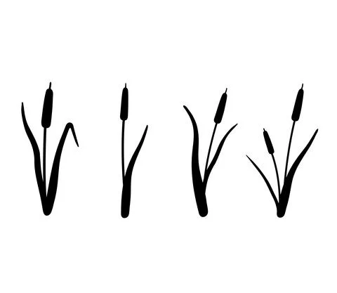 Reed silhouette set. Vector illustration isolated on white. Plants on the swamp Illustrazione stock