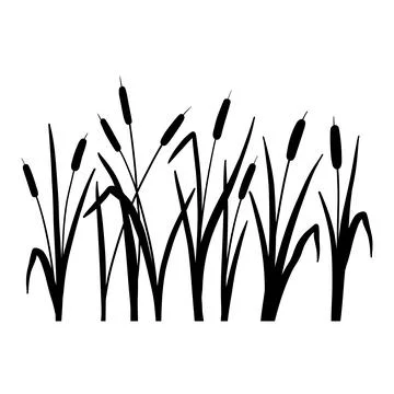 Reed silhouette set. Vector illustration isolated on white. Plants on swamp and Stock Illustration