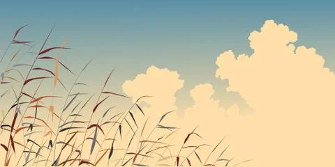 Reed sky Illustrazione stock