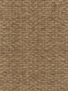 Reed texture Stock Illustration