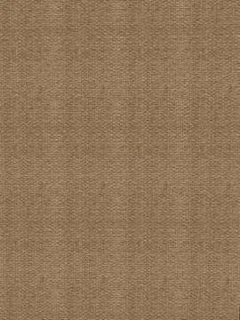 Reed texture Stock Illustration