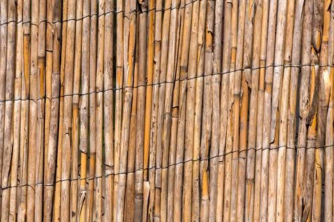 Reed Texture Wallpaper or Background Stock Photos
