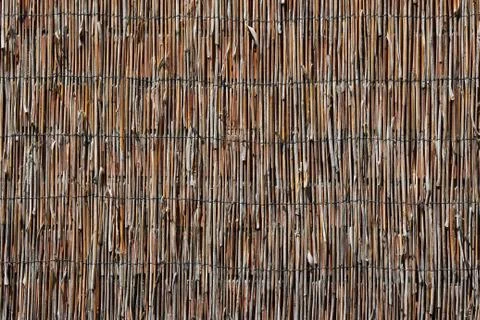 Reed Wall 3 Foto stock