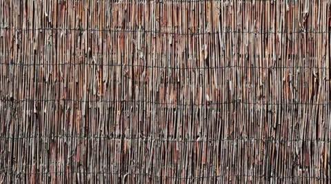 Reed Wall Motion Background Stock Footage 24827821