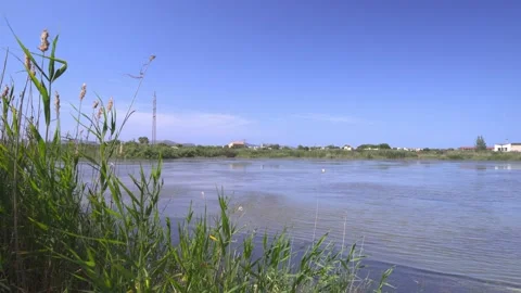 Reeds Framing Open Lagoon Under Clear Blue Sky, Maristany, Mallorca Stock Footage 340589620