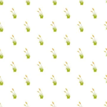 Reeds grass seamless pattern on white background Ilustração Stock