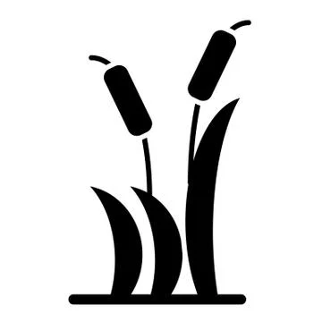 Reeds solid icon. Cattail vector illustration isolated on white. Cane glyph Stock Illustration