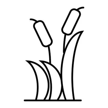 Reeds thin line icon. Cattail vector illustration isolated on white. Cane Stock Illustration